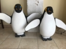 Pinguini