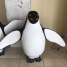 PINGUINO 