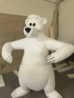 Orso Bianco
